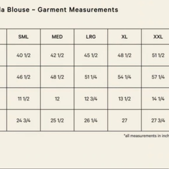 Nwt A Bronze Age Aayla Blouse - Picture 3 of 11